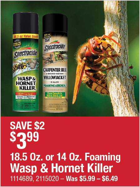 Foaming Wasp & Hornet Killer